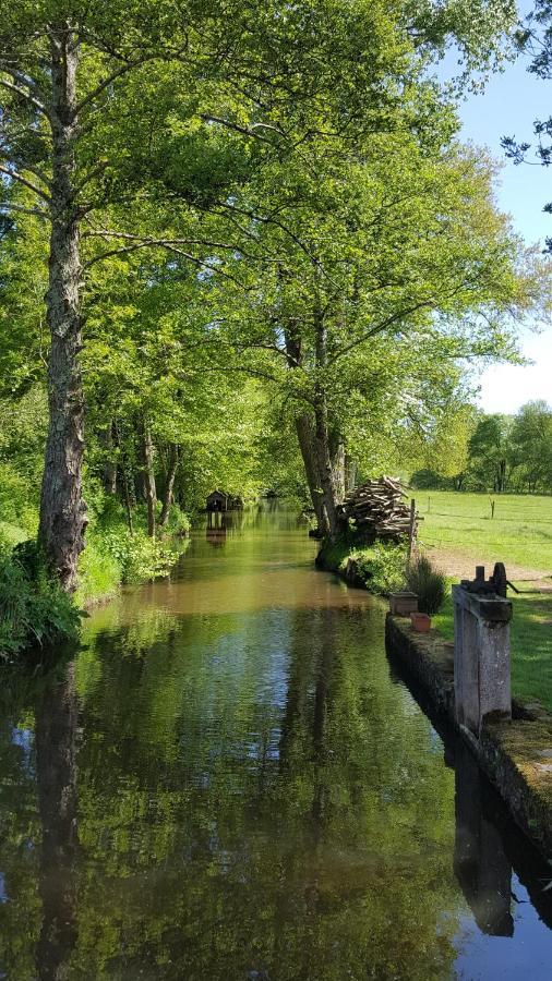 Bed and Breakfast Le Moulin Du Cluzeau Chaillac Zewnętrze zdjęcie